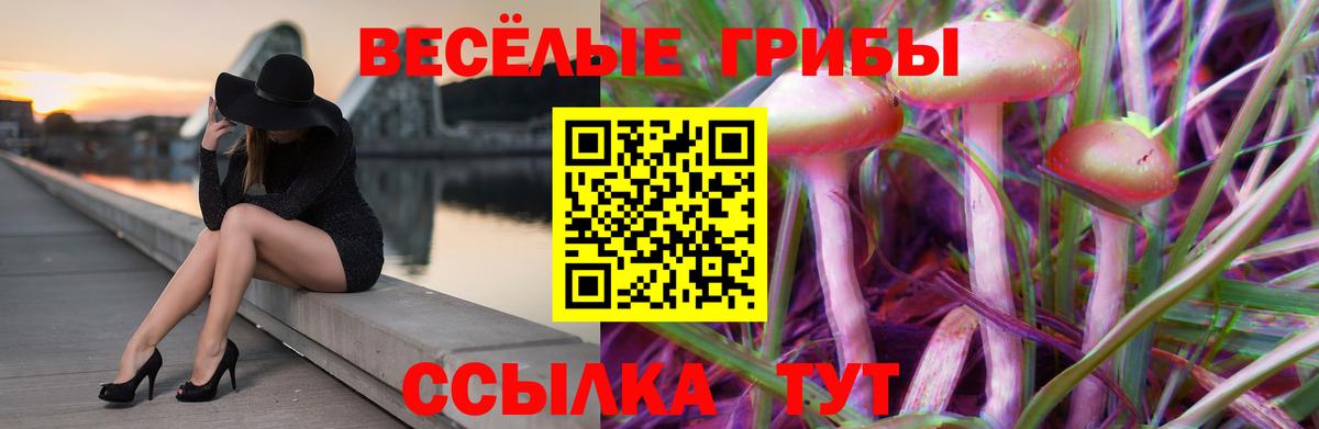 Галлюциногенные грибы ЛСД  Вход с VPN  Волгоград 
